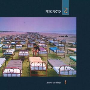 A Momentary Lapse of Reason - Pink Floyd